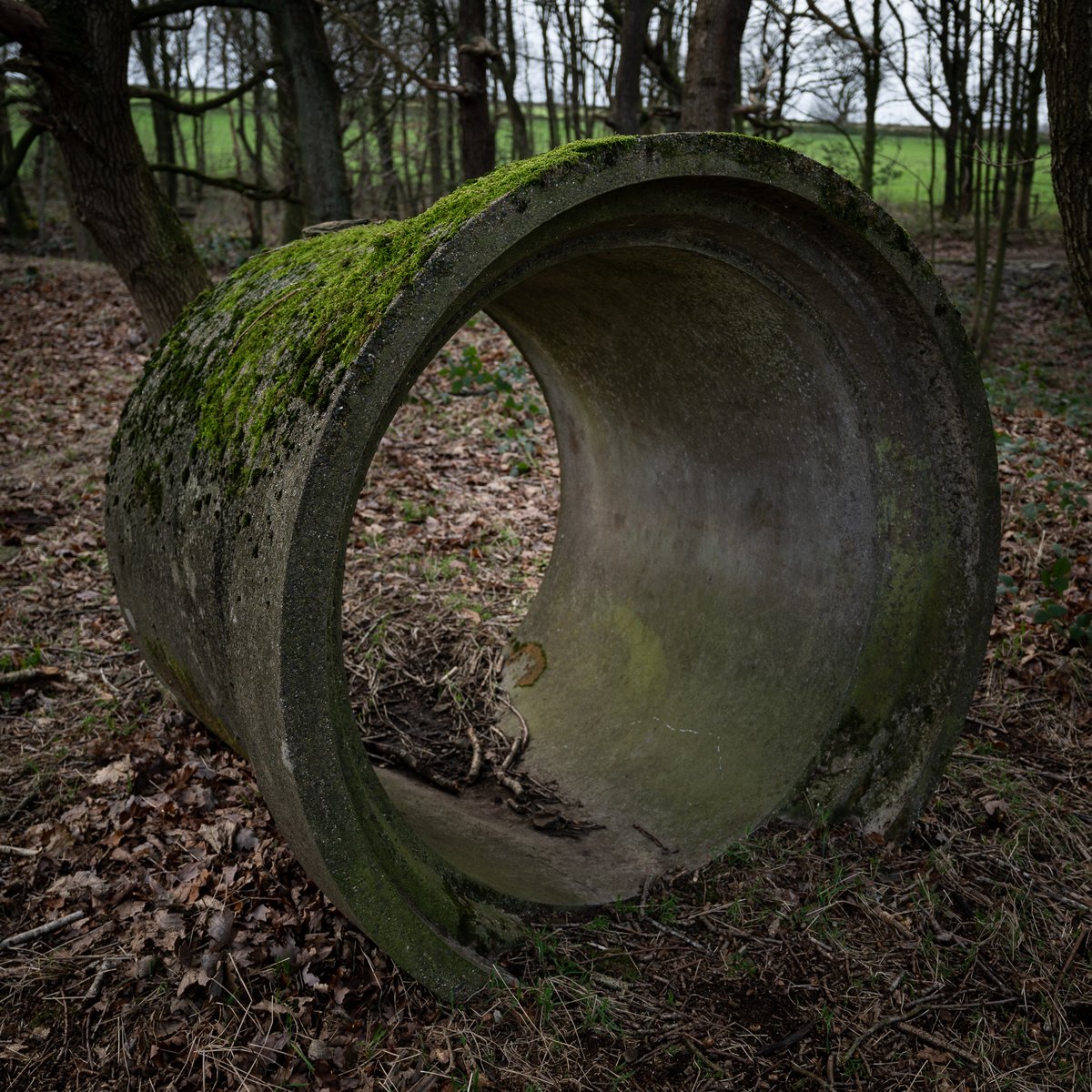 basculeteller's tweet photo. Windy walk around Roydmoor #photography #landscape #Yorkshire #Thurlstone #Penistone #7km #Flâneur #psychogeography #DarkFairytale #RuralMarginalia #bw #BlackAndWhite #monochrome #colour https://t.co/kCQdPSP3Fo