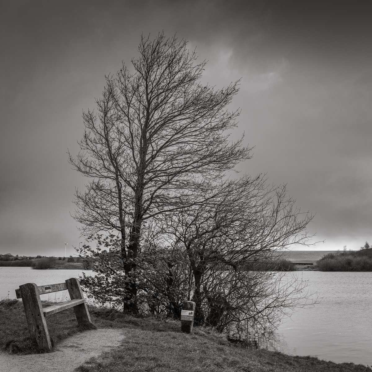 basculeteller's tweet photo. Windy walk around Roydmoor #photography #landscape #Yorkshire #Thurlstone #Penistone #7km #Flâneur #psychogeography #DarkFairytale #RuralMarginalia #bw #BlackAndWhite #monochrome #colour https://t.co/kCQdPSP3Fo