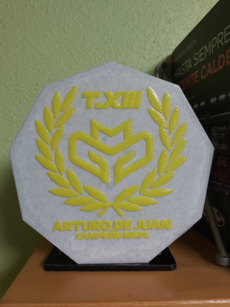 Campeón por caridad, pero supongo que campeón al fin y al cabo. Muchas gracias <a href="/CampeonatosMGP/">CampeonatosMGP</a> <a href="/lucas29huerta/">Lucas Huerta</a> <a href="/AndreVazVar_/">André Vázquez 🍍</a>  .