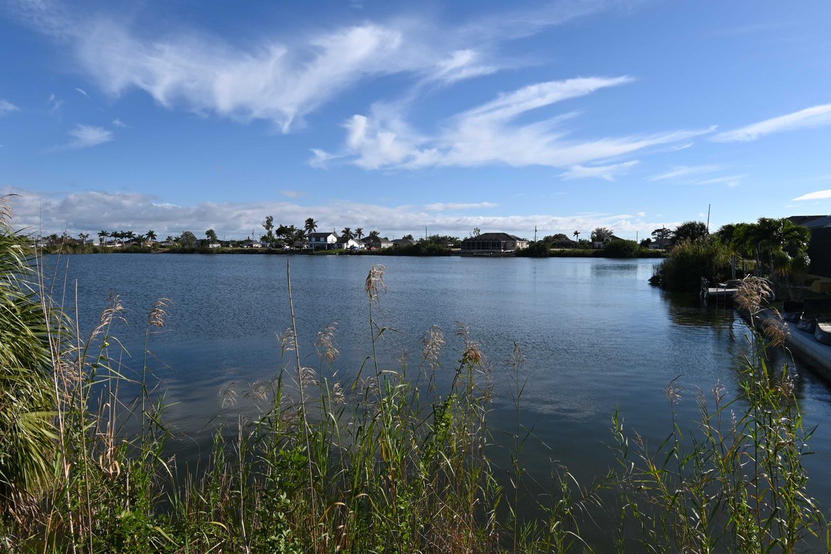 Real_EstateSWFL's tweet photo. 3 beautiful freshwater lake lots with million dollar views for sale in Cape Coral. 1 lot has a 147 ft waterfront and almost 0.3 acres. Go kayaking, paddleboarding, fishing, jetskiing and more. Look at these opportunities to build you dream home: https://t.co/KOn4assaXd https://t.co/B7insJBNhn