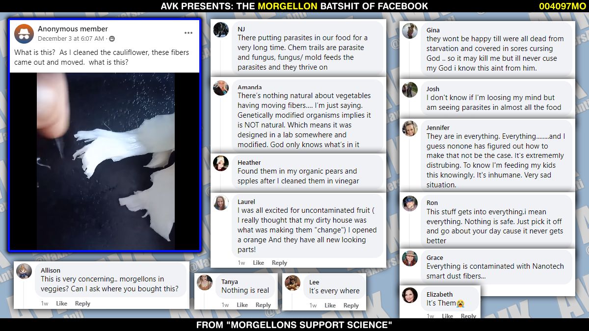 VaxxersAnti's tweet photo. OP finds white, fibrous material in white, fibrous cauliflower stalk.  

Morgellon-based panic ensues.

#morgellons #morgellon https://t.co/tnO4Ln94zw