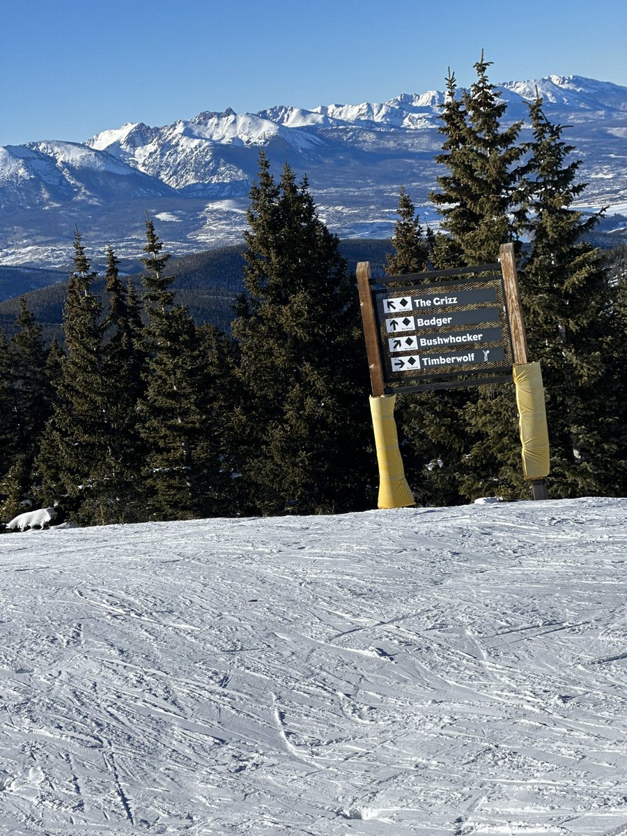 KingShupe's tweet photo. Cowabunga dudes 
#snowboarding #neversummer https://t.co/vQ3rLnFppB
