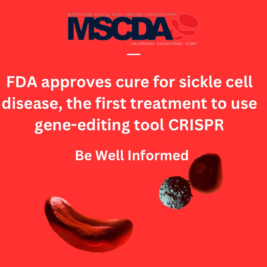 MSCDA tweet media