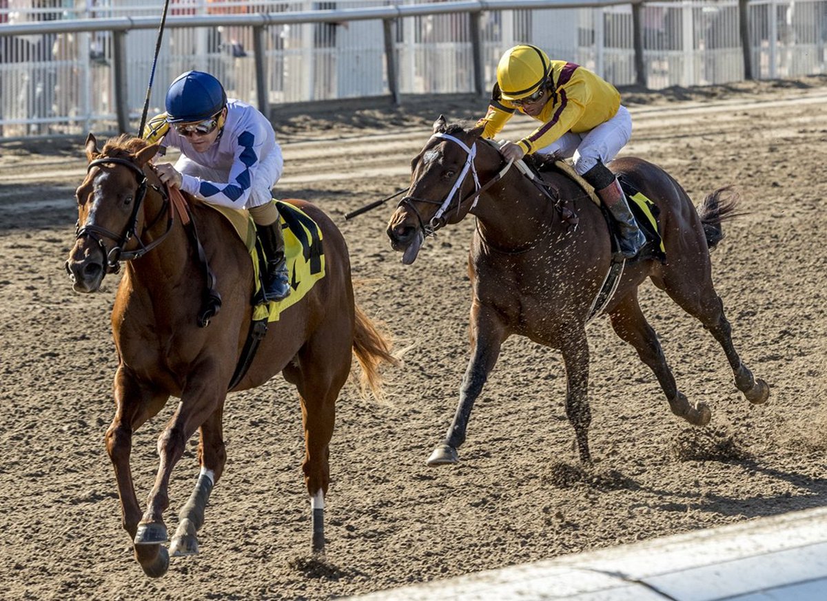 Brian Hernandez, Jr. @b_hernandezjr rings up his 14th and 15th stakes wins of the the year last Saturday @fairgroundsnola 206 career stakes victories winning at least one every year since first year riding (2003, DeD, Dec. 27, Lagniappe S.). Blushing K. D. S. - Lovely…