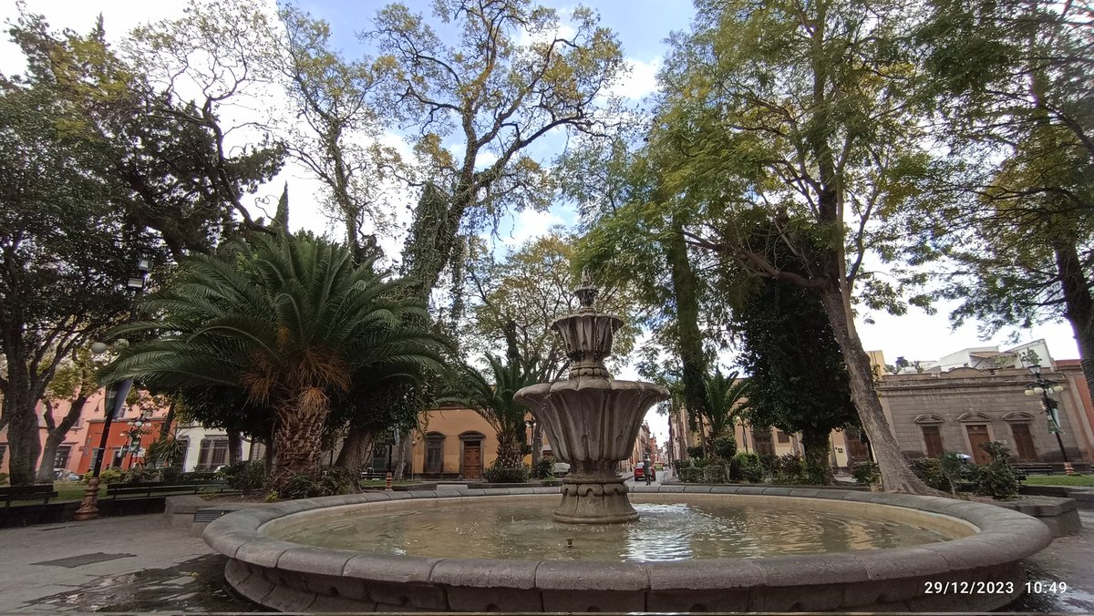 LetyZarazua's tweet image. Solo palabras amables el día de hoy!
#mimundo