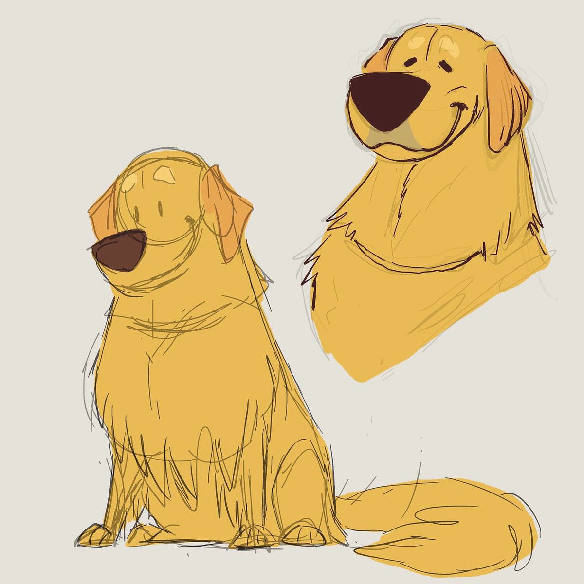 Golden Retriever sketches !