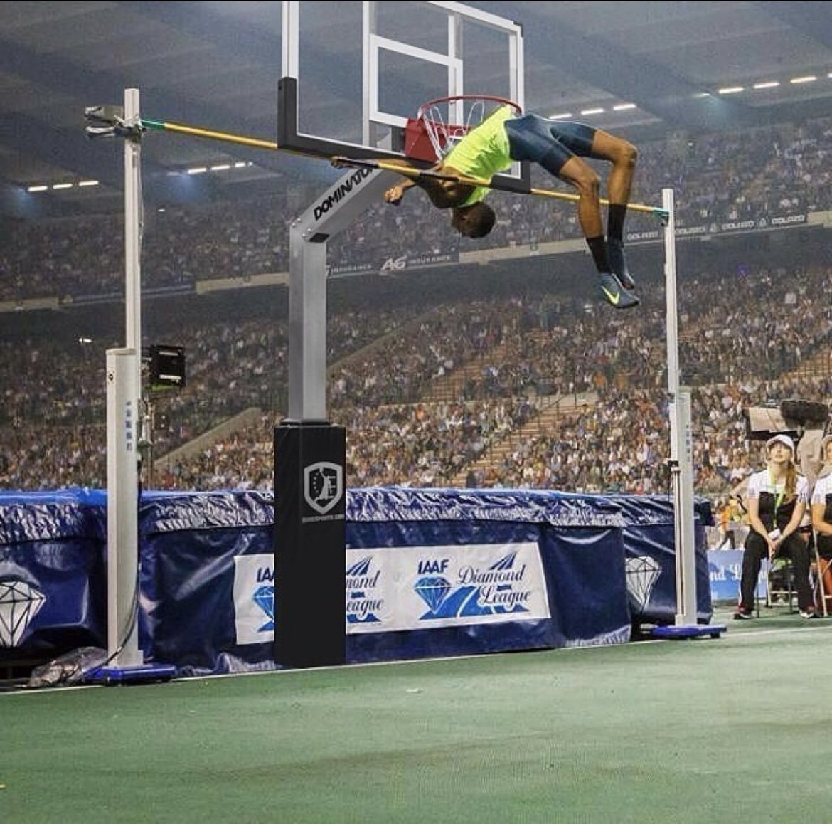 Nico Capezio tweet media