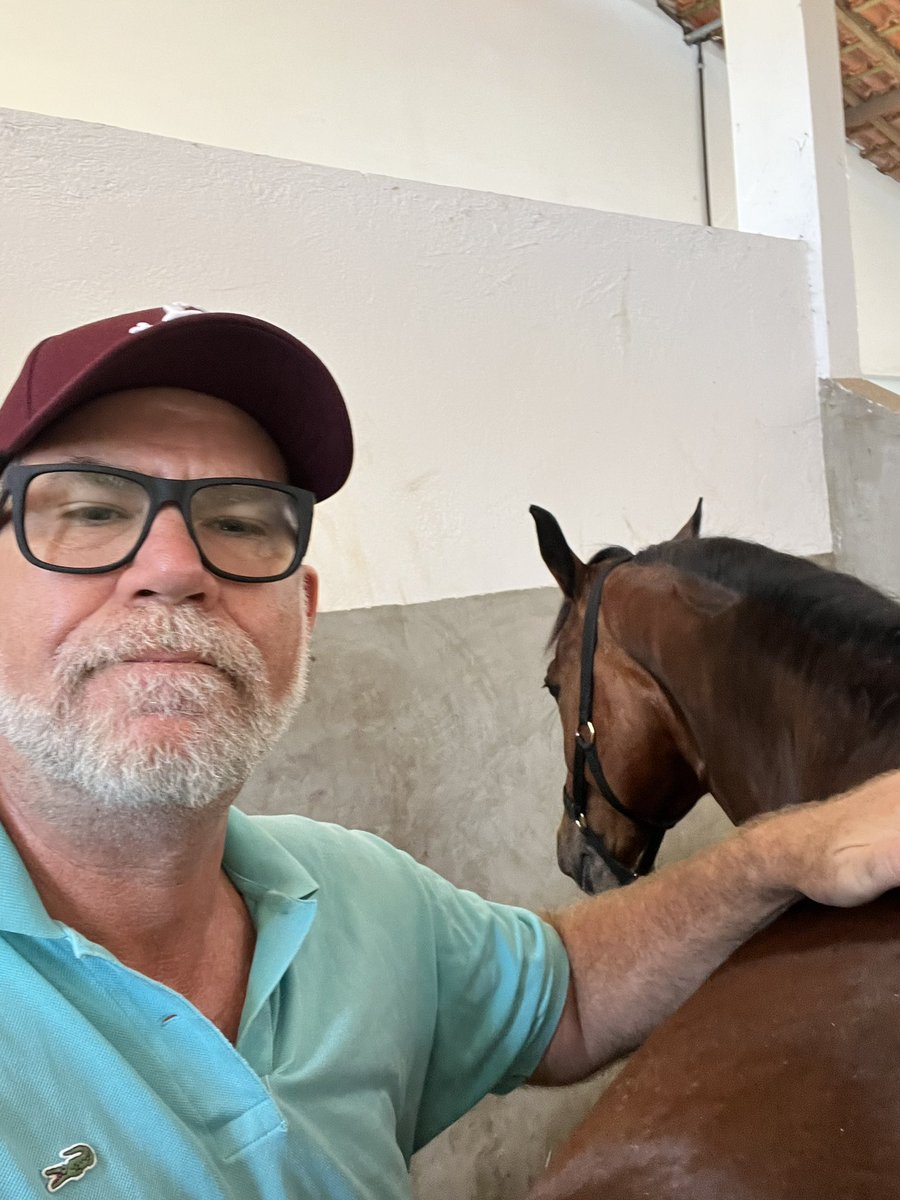 CSVET's tweet image. Finalizando os atendimentos de 2023. QUIROPRAXIA.