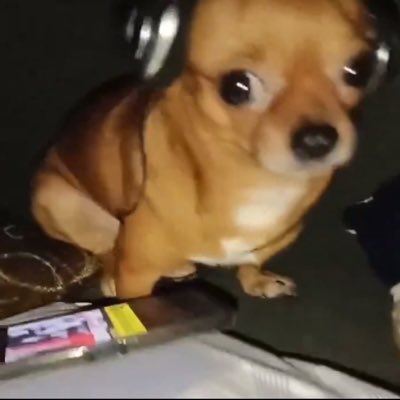 dornesss's tweet photo. #NovaFotoDePerfil https://t.co/IZdMnaNuwV