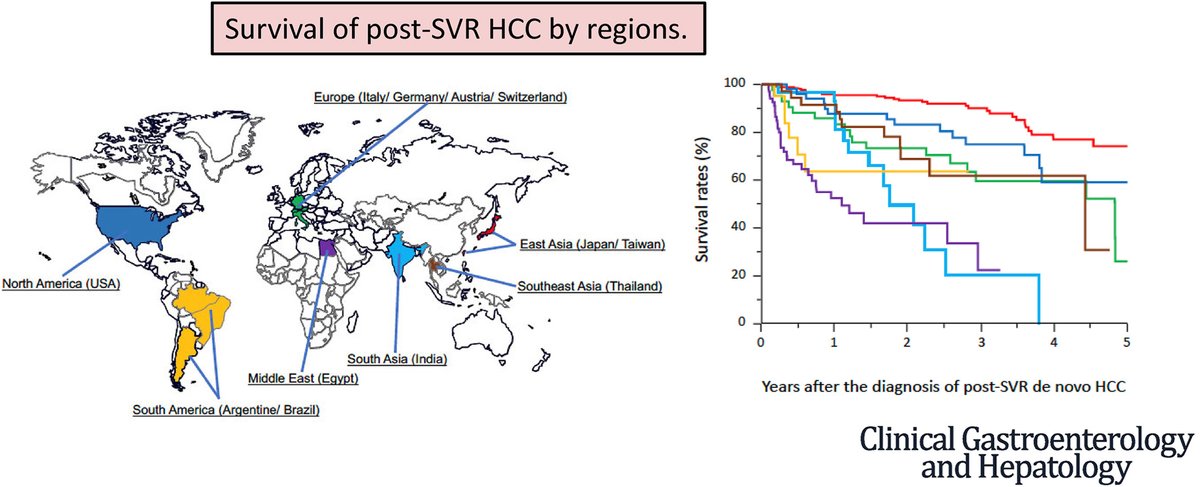 January's Editor's Essential Reading evaluates regional differences in clinical presentation and prognosis of patients with post–sustained virologic response #hepatocellularcarcinoma. Click the link to check out the full article 🔗ow.ly/5Wze50QkOTa