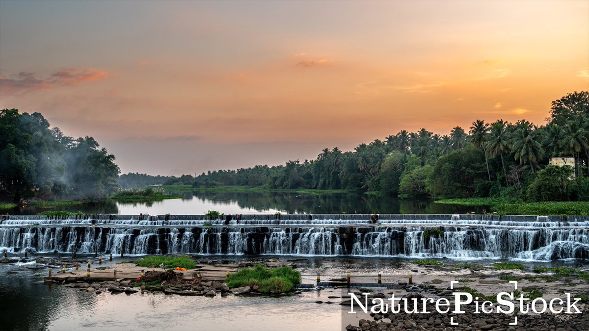 privinsathy's tweet photo. Enjoy the scenic beauty of Kodiveri Dam in Tamil Nadu, captured in stunning images. Nestled near Gobichettipalayam, this tranquil haven showcases the seamless blend of nature and engineering. Explore the picturesque landscapes on NaturePicStock.

https://t.co/ohP33qnr7V https://t.co/BlQJW7mIqq