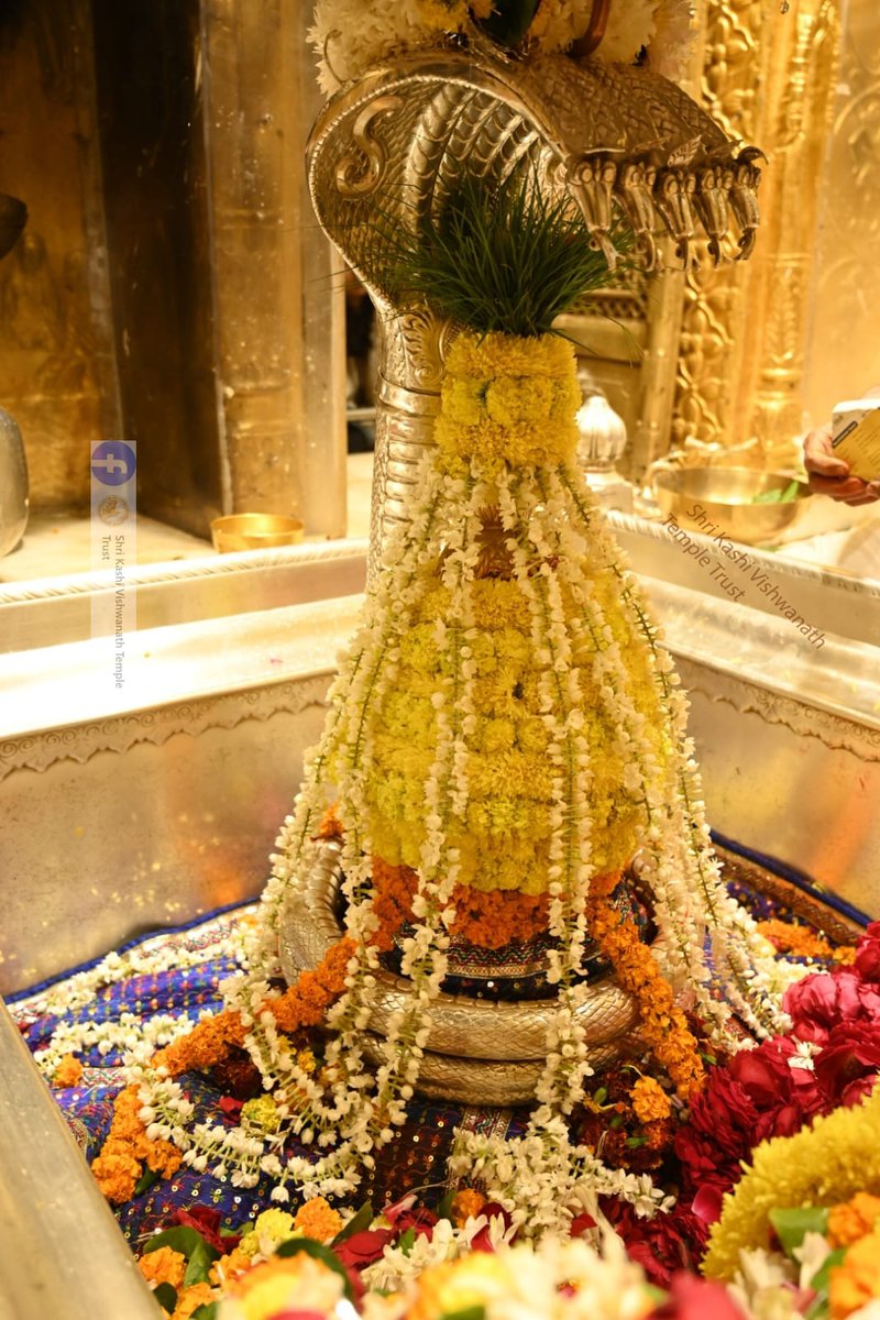 ShriVishwanath's tweet photo. दिनाँक 29-12-2023 को श्री काशी विश्वनाथ मंदिर के श्र���ंगार  आरती के दर्शन।  #ShriKashiVishwanath #shiva #mahadev #baba #templespa #darshan #blessings #saptrishi #vishwanath #KashiVishwanathDham https://t.co/iYBiXFFAMj