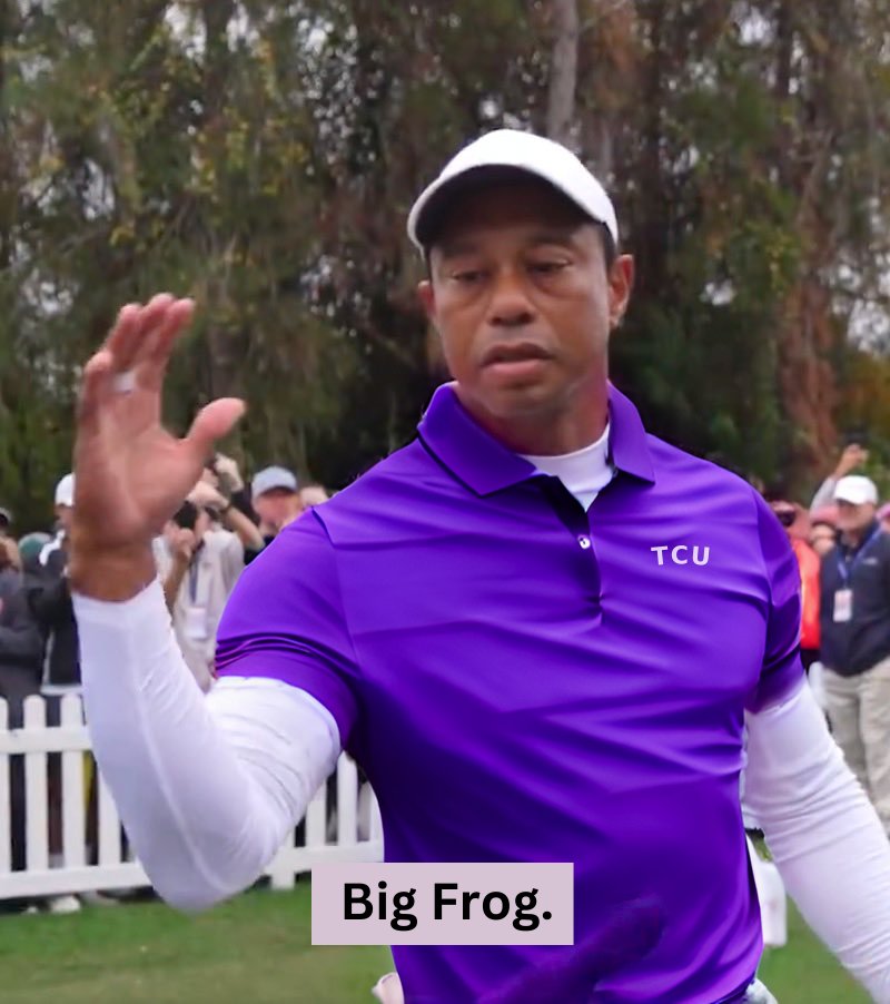 TaskForceFrog's tweet photo. Me to the fan next to me every time @TCUFootball scores a TD next year. #GoFrogs #TCU https://t.co/mcrvONaz31