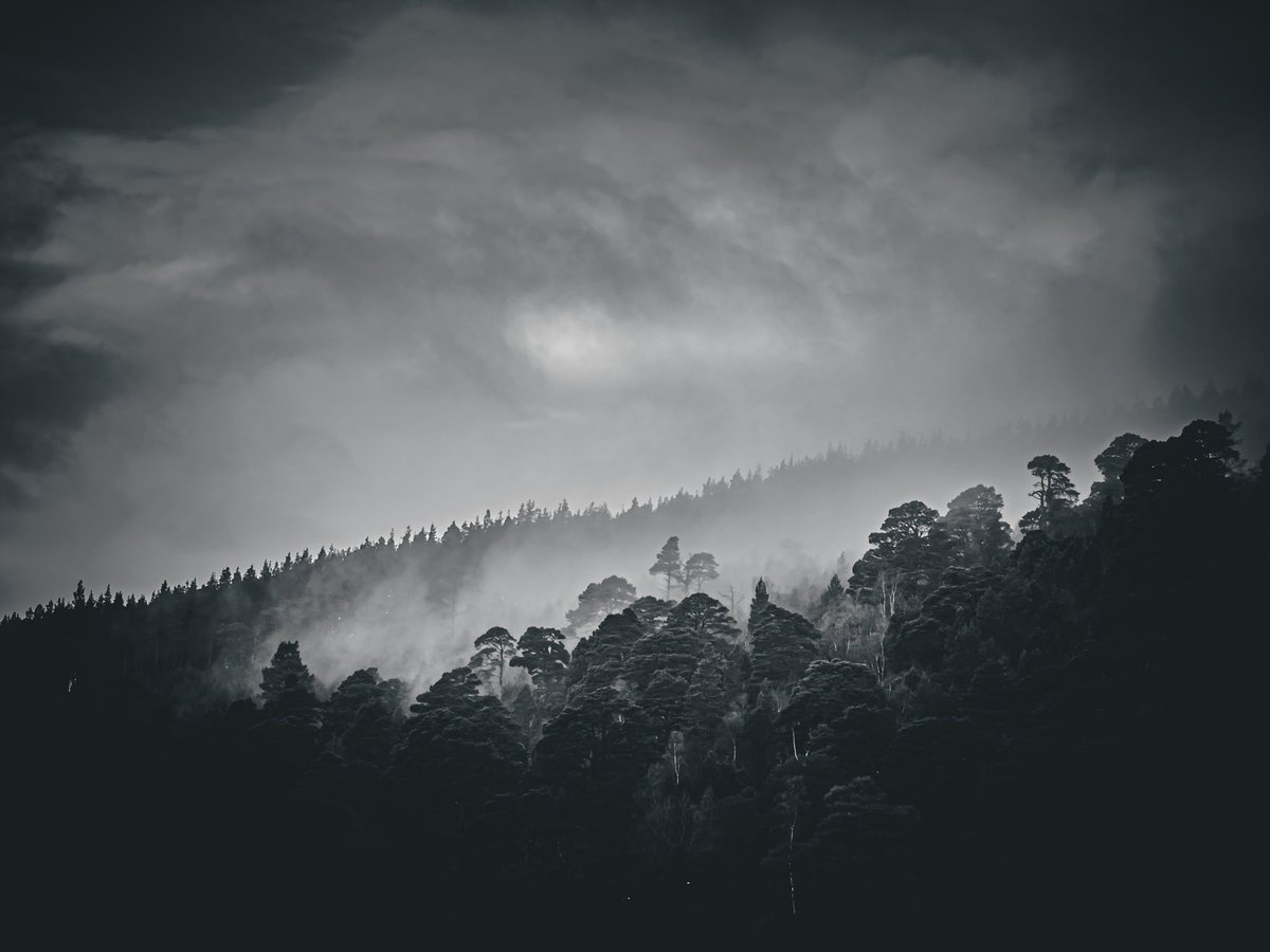 Chris Boardman CBE tweet media