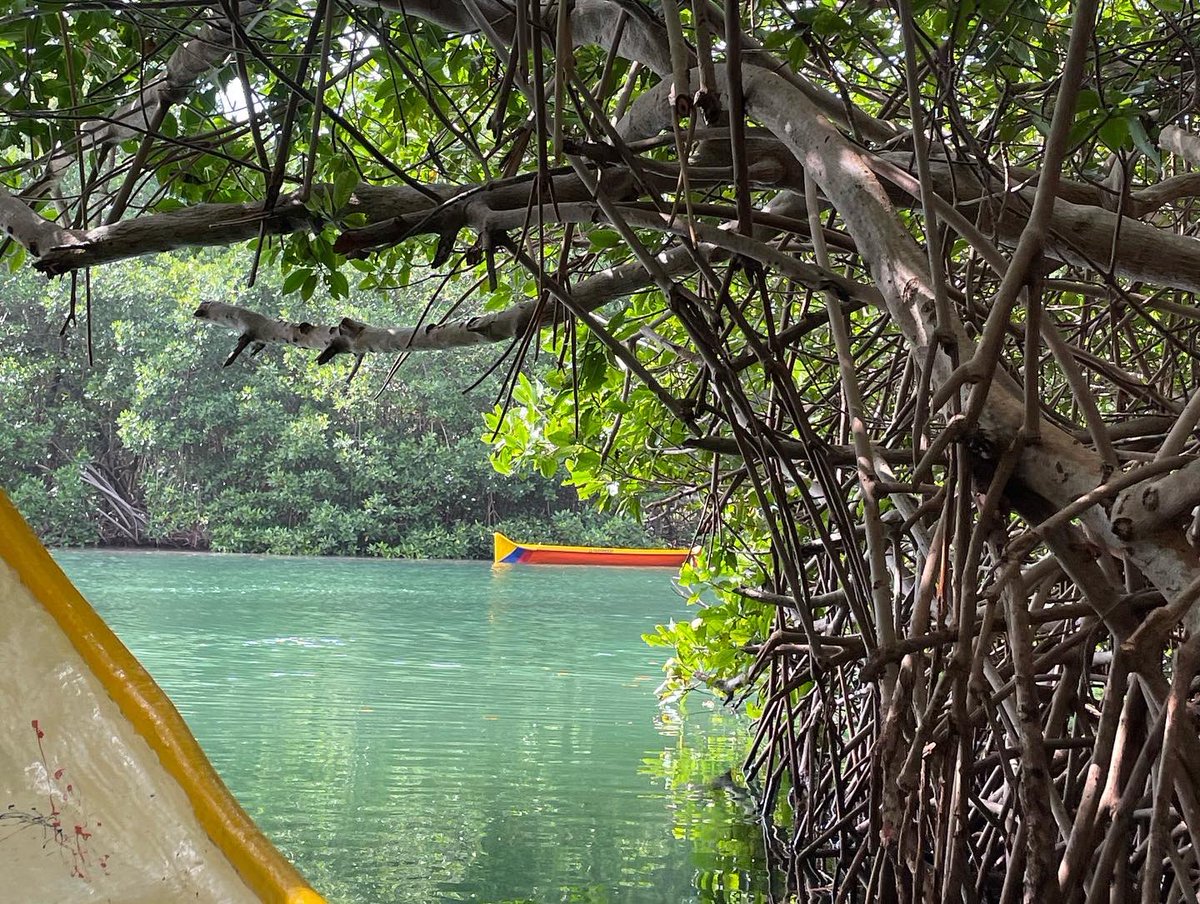 compralocalmtr's tweet photo. El ecoturismo y el apoyo a los locales en nuestros territorios son claves para su desarrollo. 

En esta cuenta estaremos mostrándoles cómo desarrollamos, promocionamos y ejecutamos proyectos sostenibles y de desarrollo regional. 

¡estén conectados!⚡️🍃 https://t.co/XJR48WkxIp