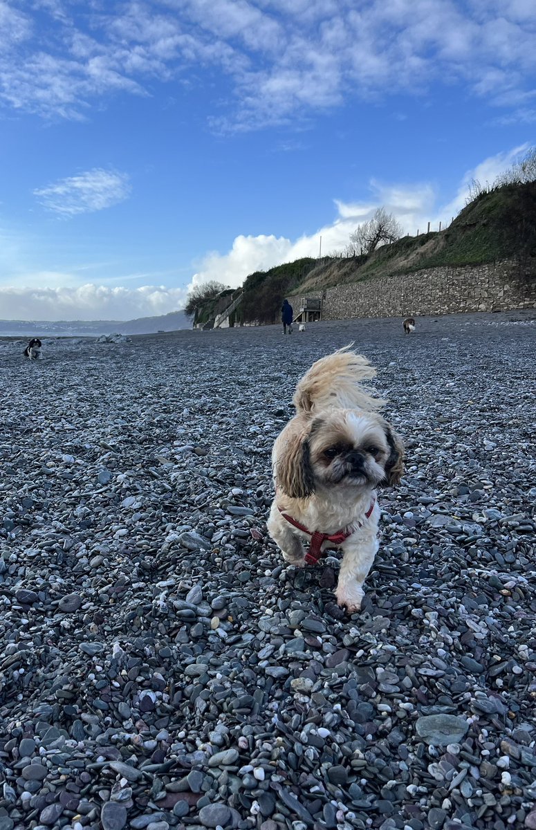 bryce_isobel's tweet photo. And breathe…#SeaAir #PostChristmasWalk #Downderry #Cornwall #Wellbeing https://t.co/Ma6bvlneXH