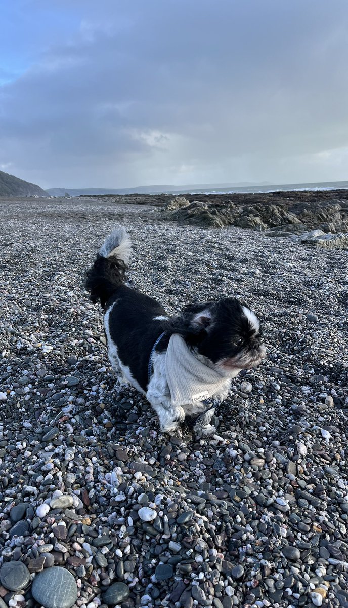 bryce_isobel's tweet photo. And breathe…#SeaAir #PostChristmasWalk #Downderry #Cornwall #Wellbeing https://t.co/Ma6bvlneXH