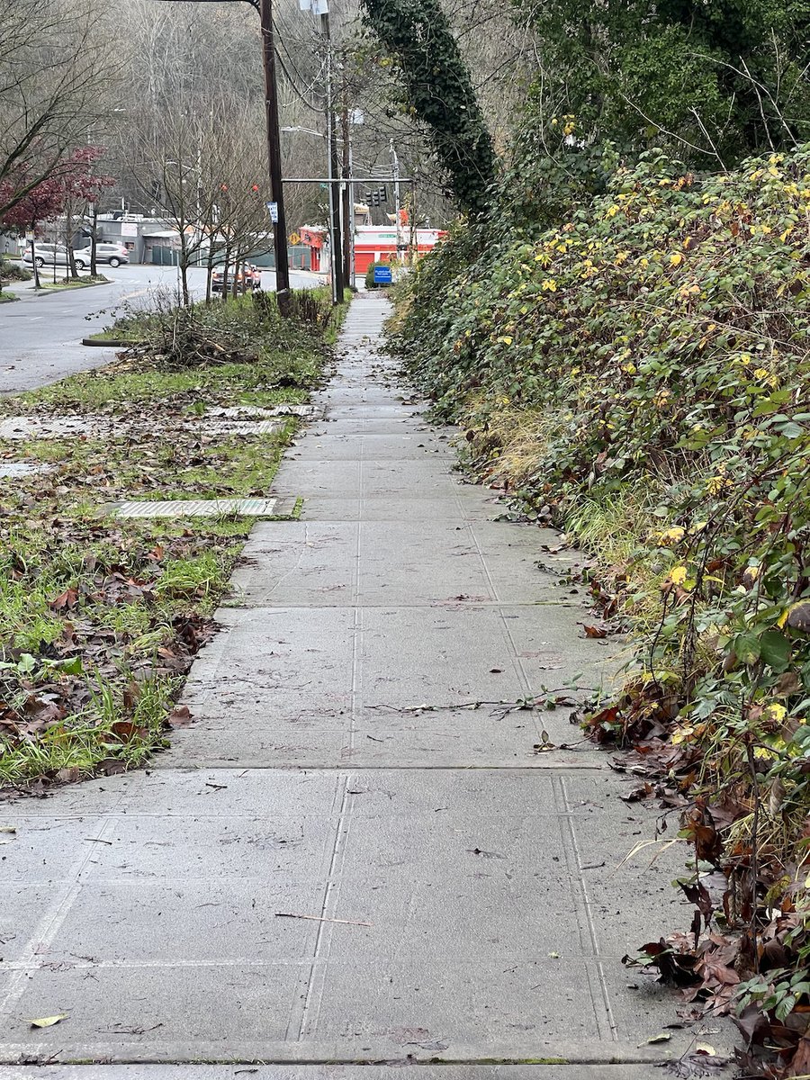 Seattle Street Fixers tweet media