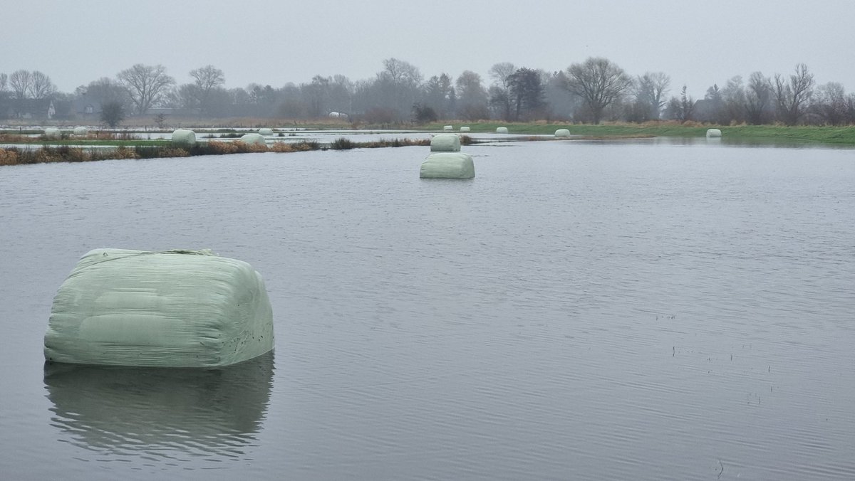 Unsere leistungsstarken Pumpen, mit denen wir vom #BUND_hb im Frühjahr immer die ausgetrockneten Brutflächen der #Wiesenvögel bewässern, werden aktuell für Hochwasser-Notfälle eingesetzt. Ist jedoch nur ein Tropfen auf dem heißen Stein. Grade geht u.a. in Verden die Post ab 🫣