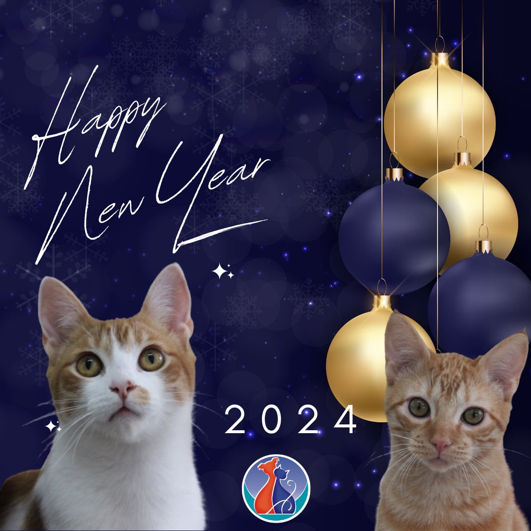 Animalunos tweet media