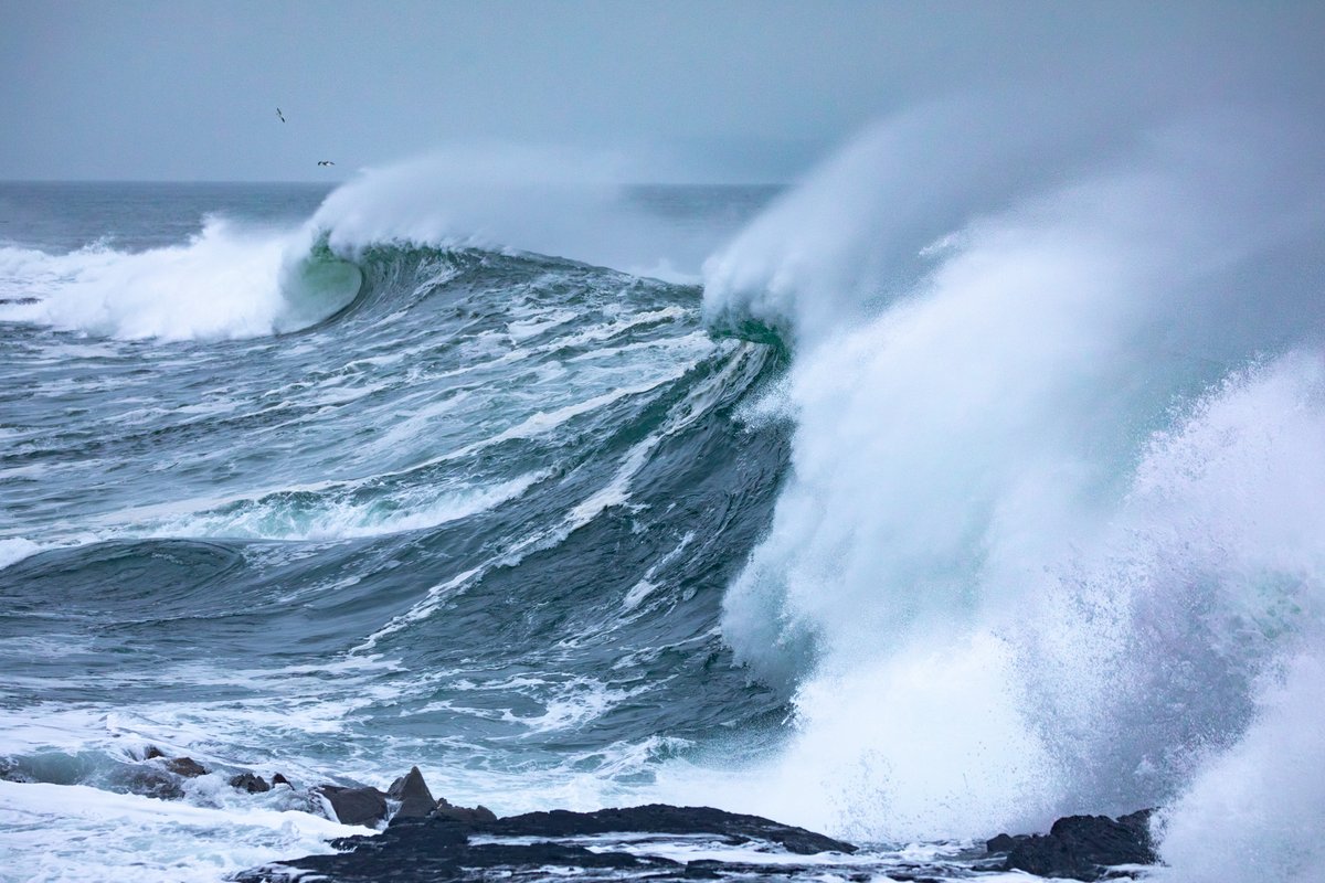 TJWattPhoto's tweet photo. A massive swell slammed into the coast from California to Alaska on Dec. 28th, bringing with it monster waves of epic proportions. Swell heights off the west coast of Vancouver Island, where these were shot, reached 20 ft/6 m! Such power & grace. #bcstorm #pacificstorm #bigwaves https://t.co/V7DgOZVGp5