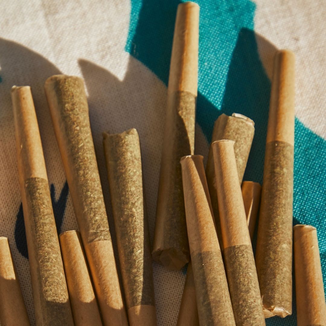 Kayacannabisco's tweet photo. Experience the unrivaled quality of Kaya pre rolls! The best in town, crafted for your ultimate smoking delight. Don't miss out! #KayaPrerolls #BestInTown #KayaColorado #DenverColorado https://t.co/2mvcpnAONY