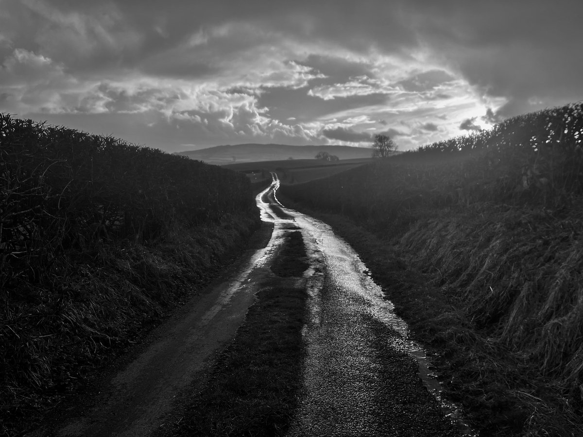 I have to confess to being tired of mud. Took myself for a run around the lanes this afternoon. It's a long time since I chased showers along these winter lanes, their breath held against the promise of a distant spring.