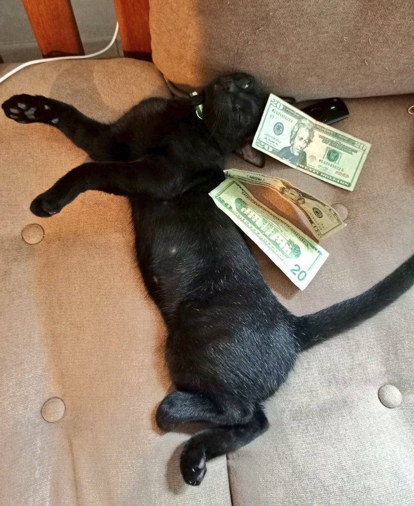 El gato negro de la abundancia ha aparecido en tu TL. Compártelo para un 2024 lleno de prosperidad ✨.