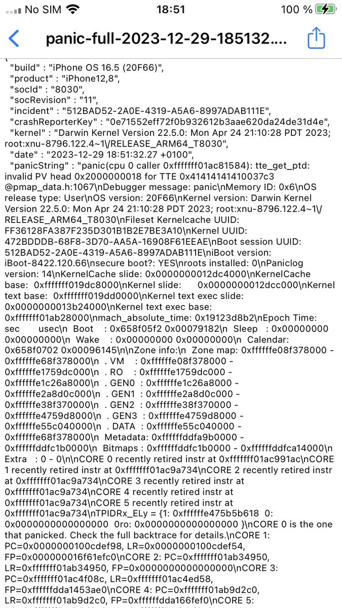 opa334@infosec.exchange tweet media
