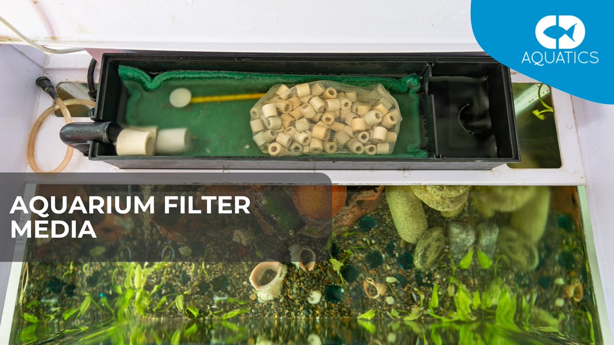 C.D Aquatics (@cdaquatics) on Twitter photo Ready to revolutionise your aquarium experience? π Dive into our Filter Media collection today! Visit our website or drop by our store β your underwater kingdom will thank you. π°π 
Shop Nowπ
cdaquatics.co.uk/aquarium-filteβ¦
#CDAquatics #AquariumFilterMedia #CrystalClearWaters Ready to revolutionise your aquarium experience? π Dive into our Filter Media collection today! Visit our website or drop by our store β your underwater kingdom will thank you. π°π 
Shop Nowπ
cdaquatics.co.uk/aquarium-filteβ¦
#CDAquatics #AquariumFilterMedia #CrystalClearWaters