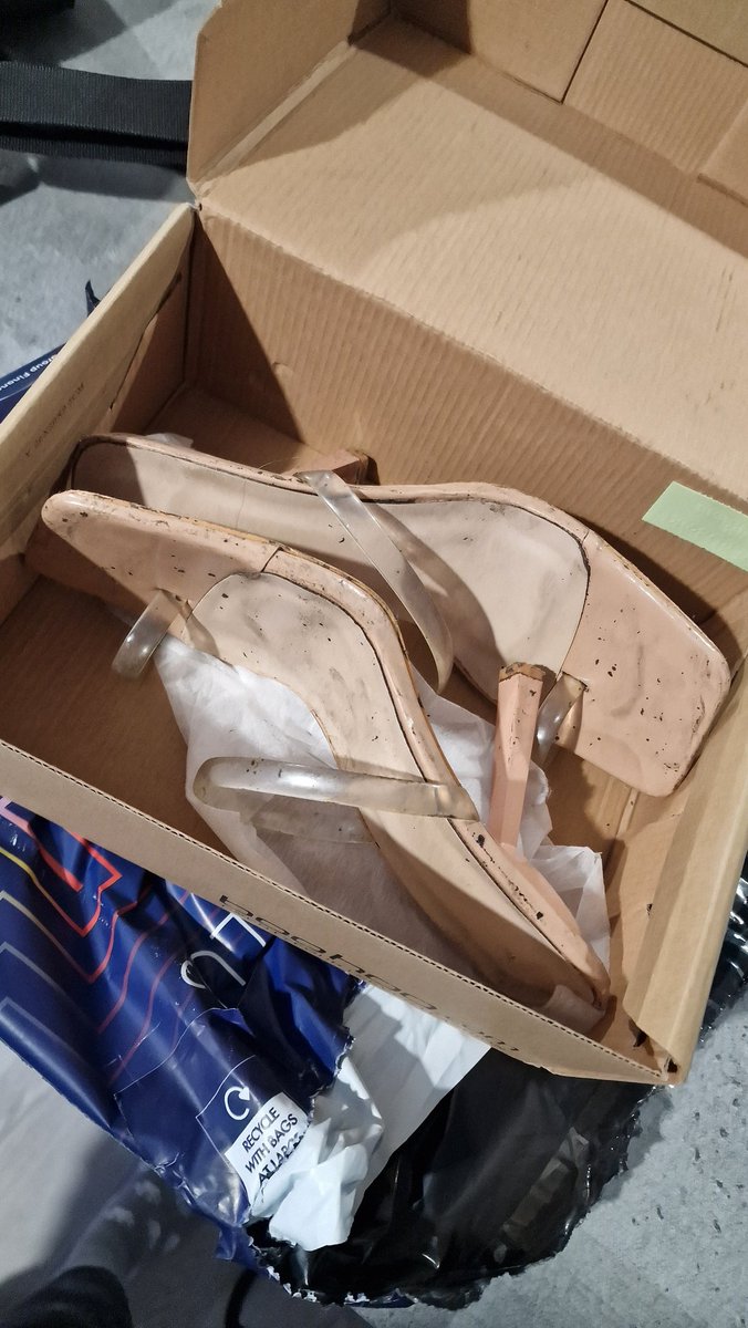 REDD NICHOLSON tweet media