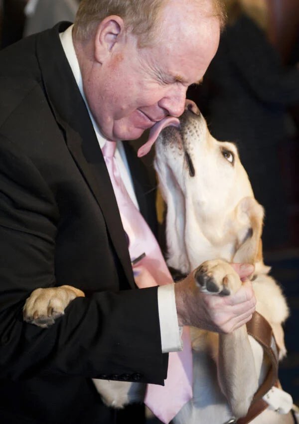 Despite being a dog afraid of thunder, Roselle, the guide dog, calmly carried out her duties amidst the deafening noise and debris on the 78th floor of the North Tower on September 11th 2001. 

Guiding her blind owner, Michael Hingson, who sensed jet fuel, Roselle earned trust