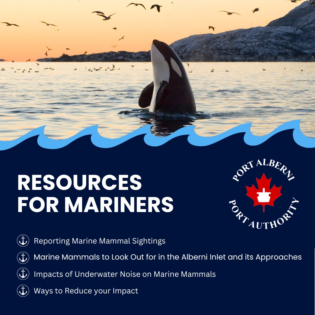 PAPortAuthority's tweet photo. We've updated our website to include resources for Mariners: https://t.co/RUnxdD9dKF

⚓Mariner’s Guide of Western Canada
🐬Reporting Marine Mammal Sightings
🐋Marine Mammals to Look Out
🔊Impacts of Underwater Noise on Marine Mammals
💙Ways to Reduce your Impact https://t.co/H9iYclQwZZ