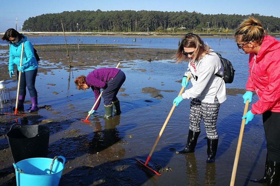 Un plan para facer cos pequenos e pequenas da familia no que se entreteñan, aprendan e ademáis vos empapedes da esencia das #RíasBaixas? Velaquí a nosa proposta

Os talleres de marisqueo de <a href="/AmarCarril/">AmarCarril</a> que reúnen todo iso e máis 🦀

#OrixeRíasBaixas  #PontevedraProvincia