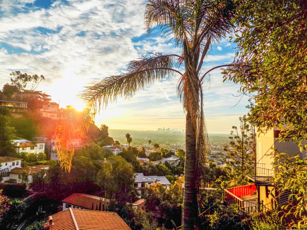 Andaz West Hollywood (@andazweho) on Twitter photo Another beautiful night on the Sunset Strip. Where will your adventures take you? โ๏ธ
๐ธ: <a href="/fu_ottawa/">Fashion United</a>
#andazweho #andaz #weho #wehoculture #westhollywood #sunsets #photography #adventureawaits Another beautiful night on the Sunset Strip. Where will your adventures take you? โ๏ธ
๐ธ: <a href="/fu_ottawa/">Fashion United</a>
#andazweho #andaz #weho #wehoculture #westhollywood #sunsets #photography #adventureawaits