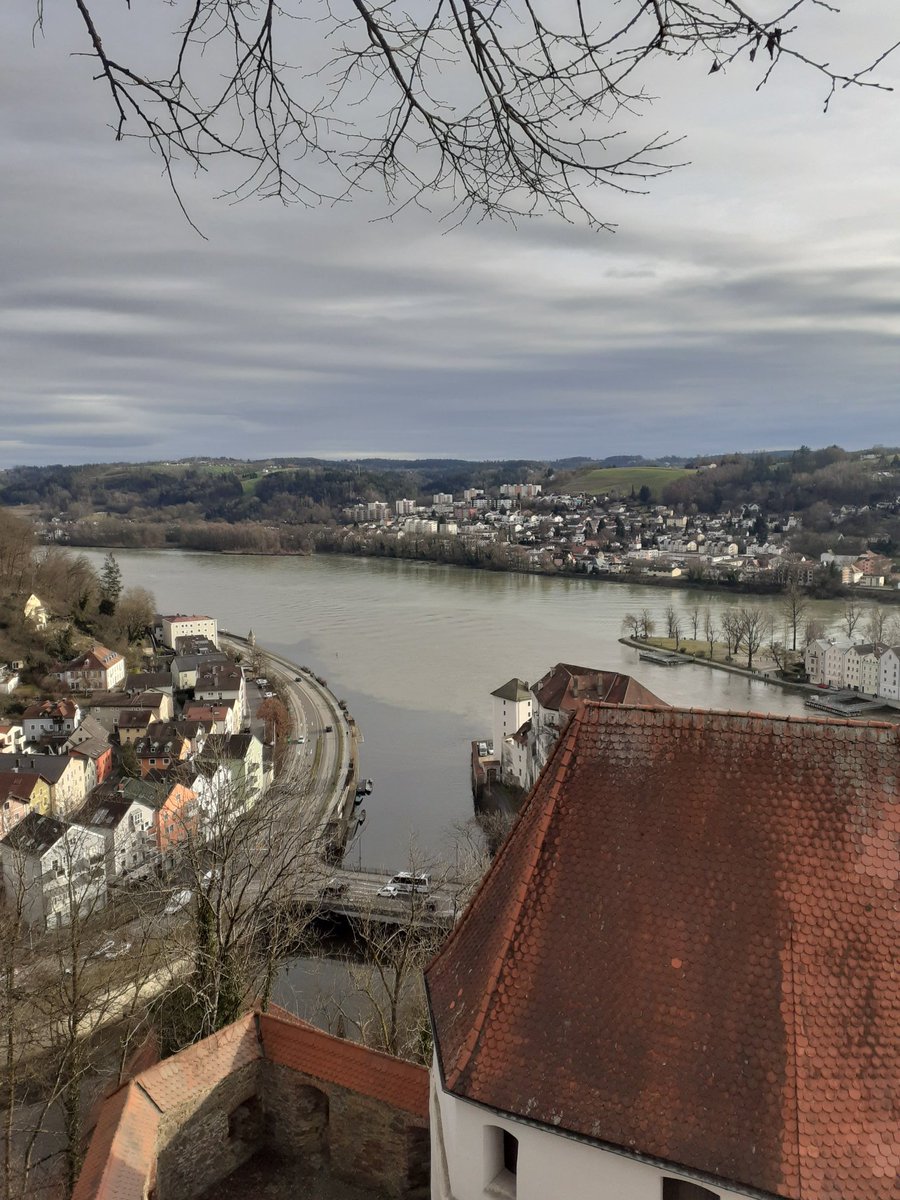 Veronika tweet media