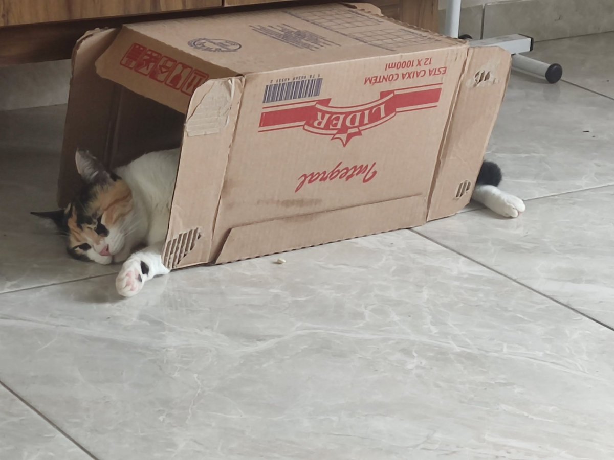 Boa tarde vermelhas e vermelhos!!
O importante é descansar!!
#Yummy