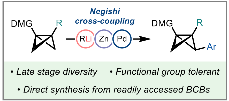 Second up: BCBs in Bridge cross-coupling chemistry: pubs.acs.org/doi/10.1021/ac…
Congratulations again to Ryan and Ayan!