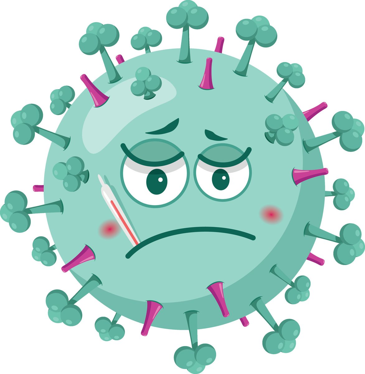 gomez_rial5's tweet image. Ya está aquí el virus de la GRIPE haciendo de las suyas, como cada invierno (excepto durante la pandemia)
¿Qué sabemos de este virus? ¿Cómo nos infecta y como nos defendemos? ¿Por qué parece que nos hubiese atropellado un camión? 🦠🦠👇👇👇👇