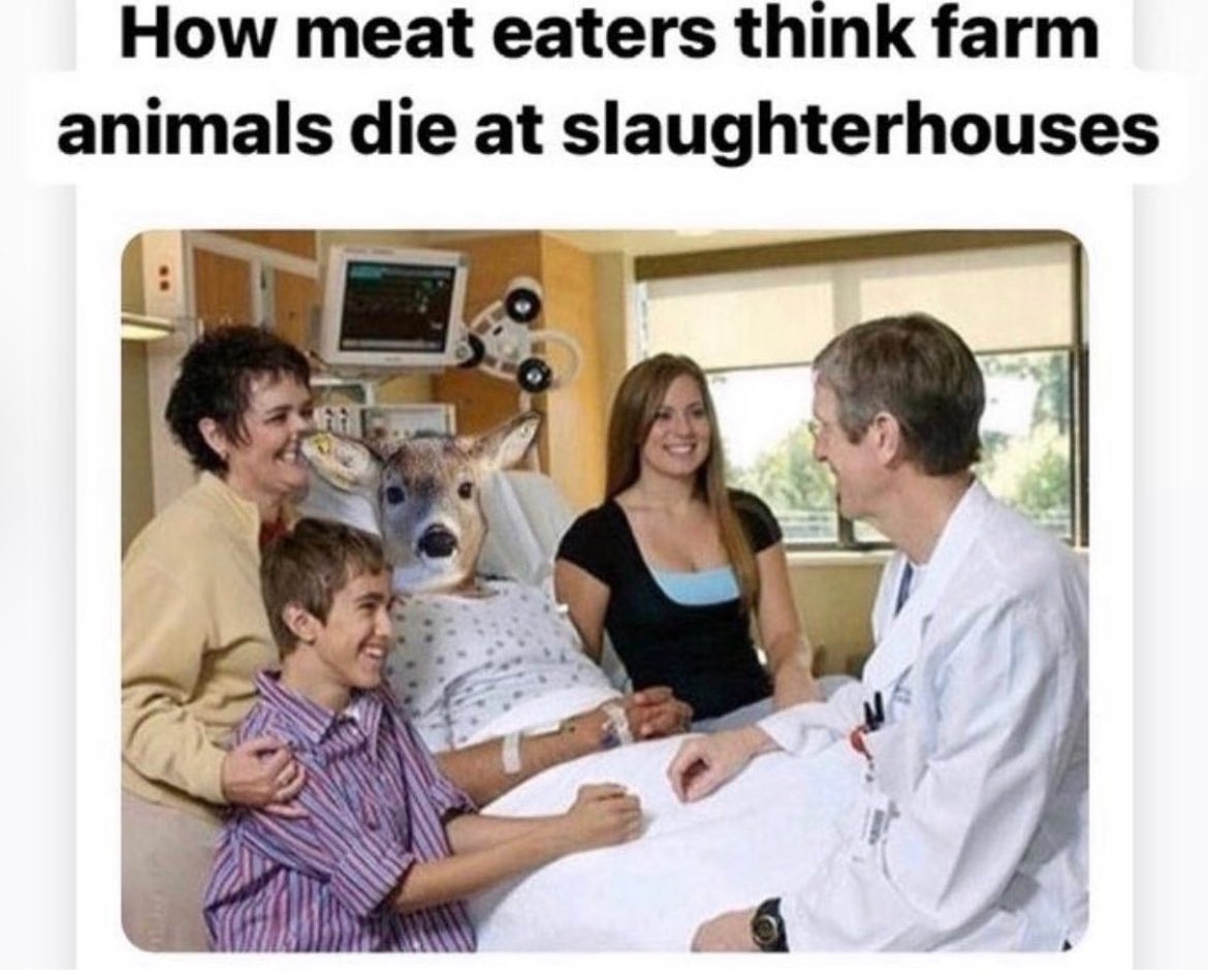 vegansarcasm's tweet photo. Most people are happy in their ignorance https://t.co/KmrLTUpdfp