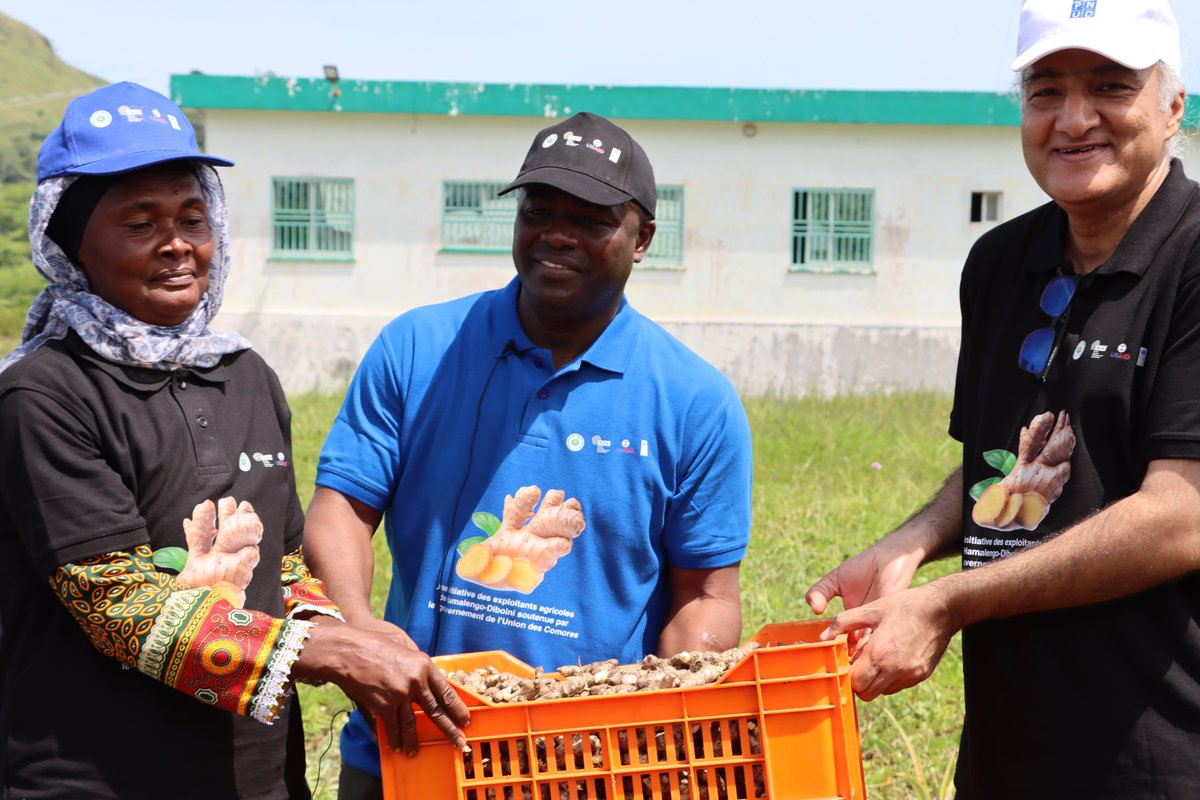 PNUD_Comores's tweet photo. Le @crdediboini annonce fièrement le début de la #campagne2024 pour la culture du #gingembre ! Plus de 60% de femmes bénéficiaires. Un engagement fort pour l'autonomisation féminine dans l'agriculture. @USAID @USAIDMadagascar @ https://t.co/z06SotG1Pw