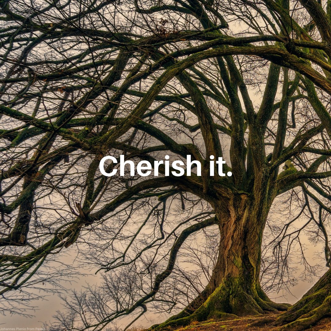 UNEP's tweet photo. Our wish for 2024: That everyone cherishes and protects Earth, our one and only home.

#ForPeopleForPlanet