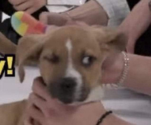Tem alguém aí ainda? 👀