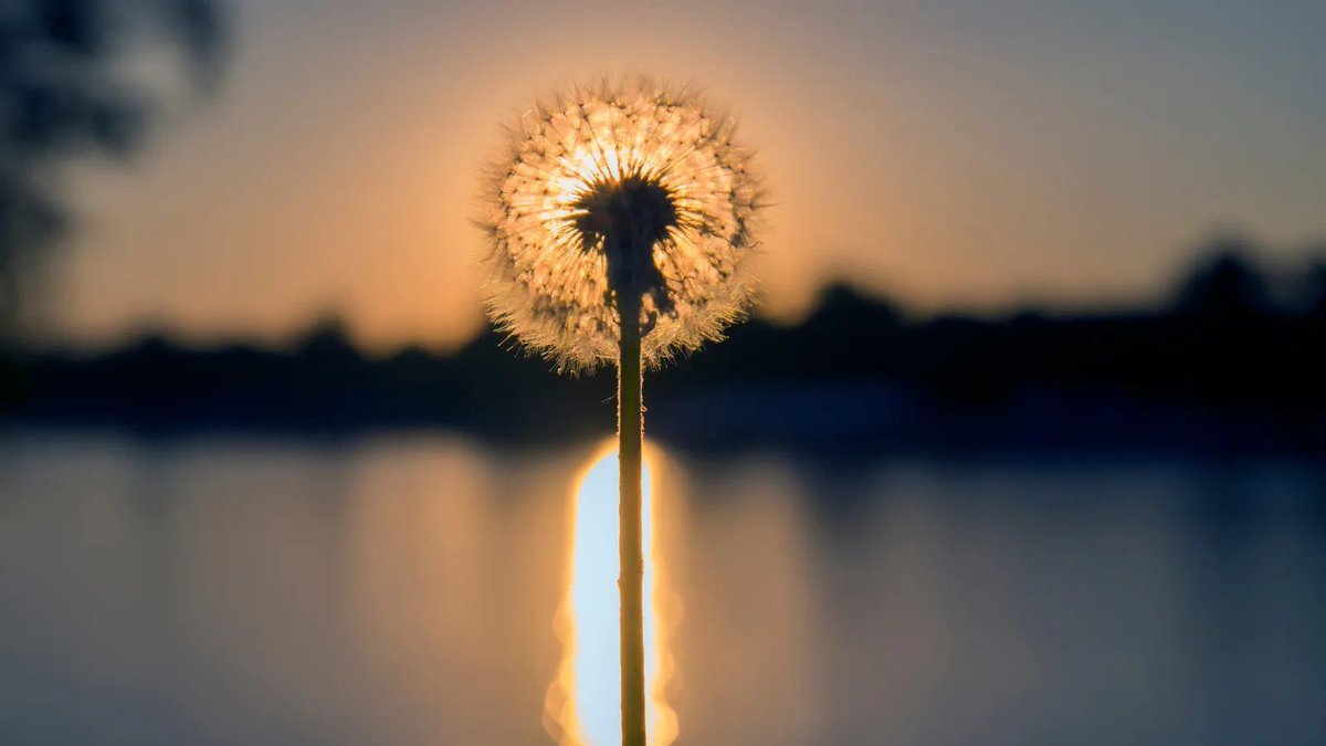This 2024 our mission will keep on being to change the lives of people suffering from infertility to help them make their wish to become a parent come true. If you need help, do not hesitate to contact us. bit.ly/2LhyC25 #DoNotGiveUp #IVF #Fertility #2024 #Happy2024