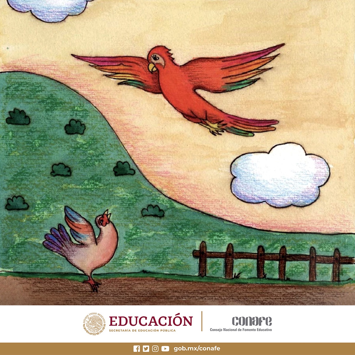 CONAFE_mx's tweet photo. Admira la belleza de las aves en nuestro #LibroCONAFE para niñas y niños "La guacamaya" de la Colección "Pocas Letras". Textos de Catalina Fernández e ilustraciones de Cynthia Gómez.
Haz clic aquí:
https://t.co/TDkiUUwsaN
@SEP_mx @Letamaya @MarthaVelda https://t.co/FKmw5n9fgf
