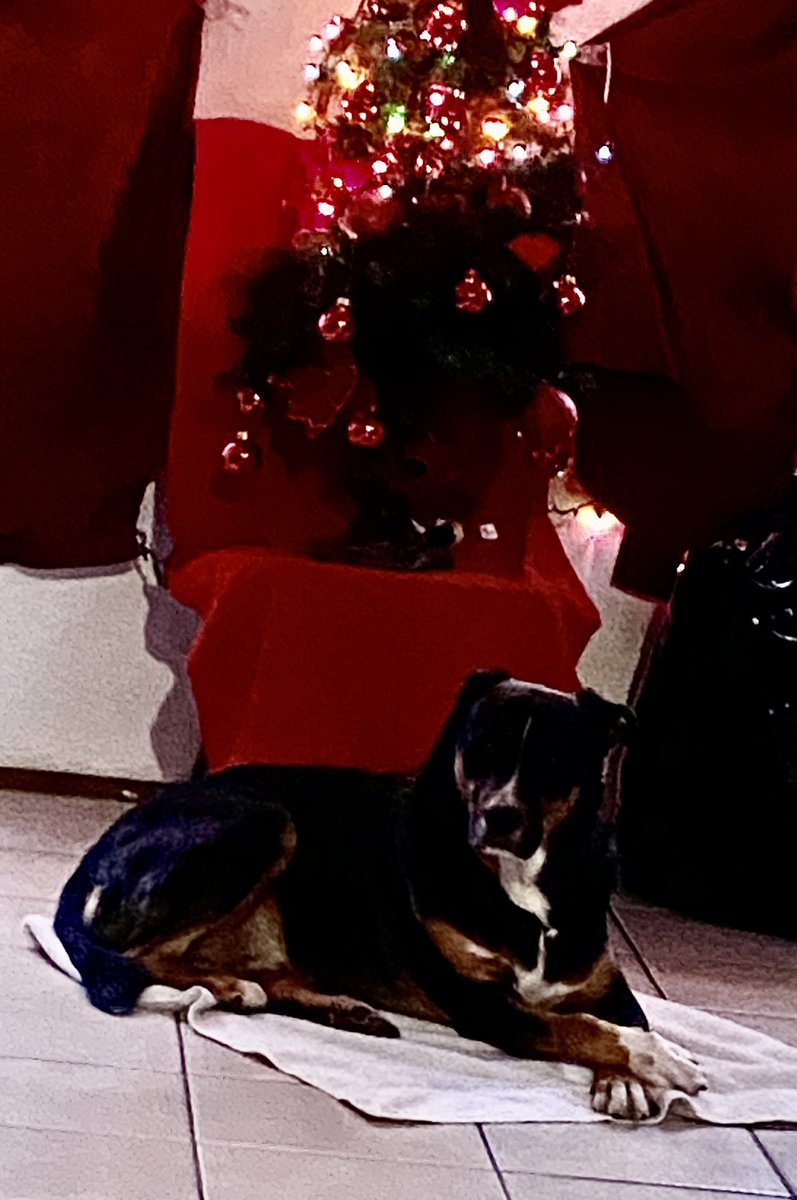 franceliaherna4's tweet image. 12-29-23 estos hermosos les deseamos un súper súper feliz fin de año y un excelente año nuevo 2024 #Tanke #jackyy
