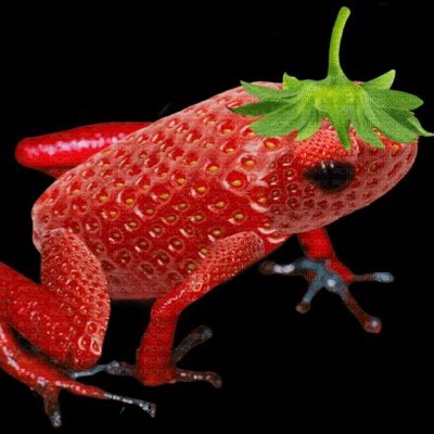 o_oput's tweet photo. #NouvellePhotoDeProfil https://t.co/WAl514n9Do
