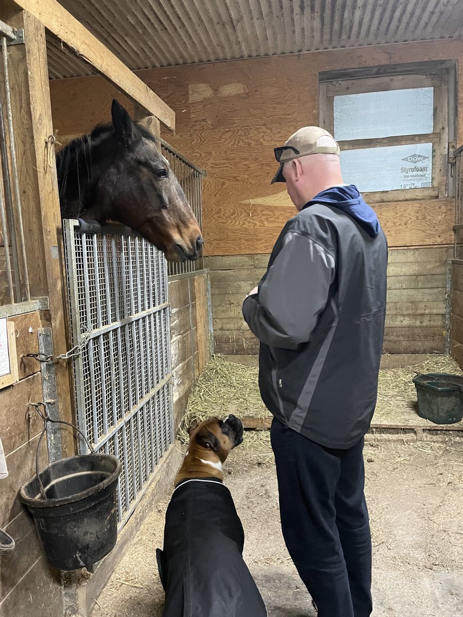 LusiAndAlbert's tweet photo. On our herd visit this morning, Lusi’s tongue was whipping. Friday’s tongue was flipping. And Albert was sucking his tongue. We love them all. Thank you to all the caretakers along the route today. #herdfamily #grateful #homebreds #thebountyofillusionist https://t.co/S8TbvoRIzq