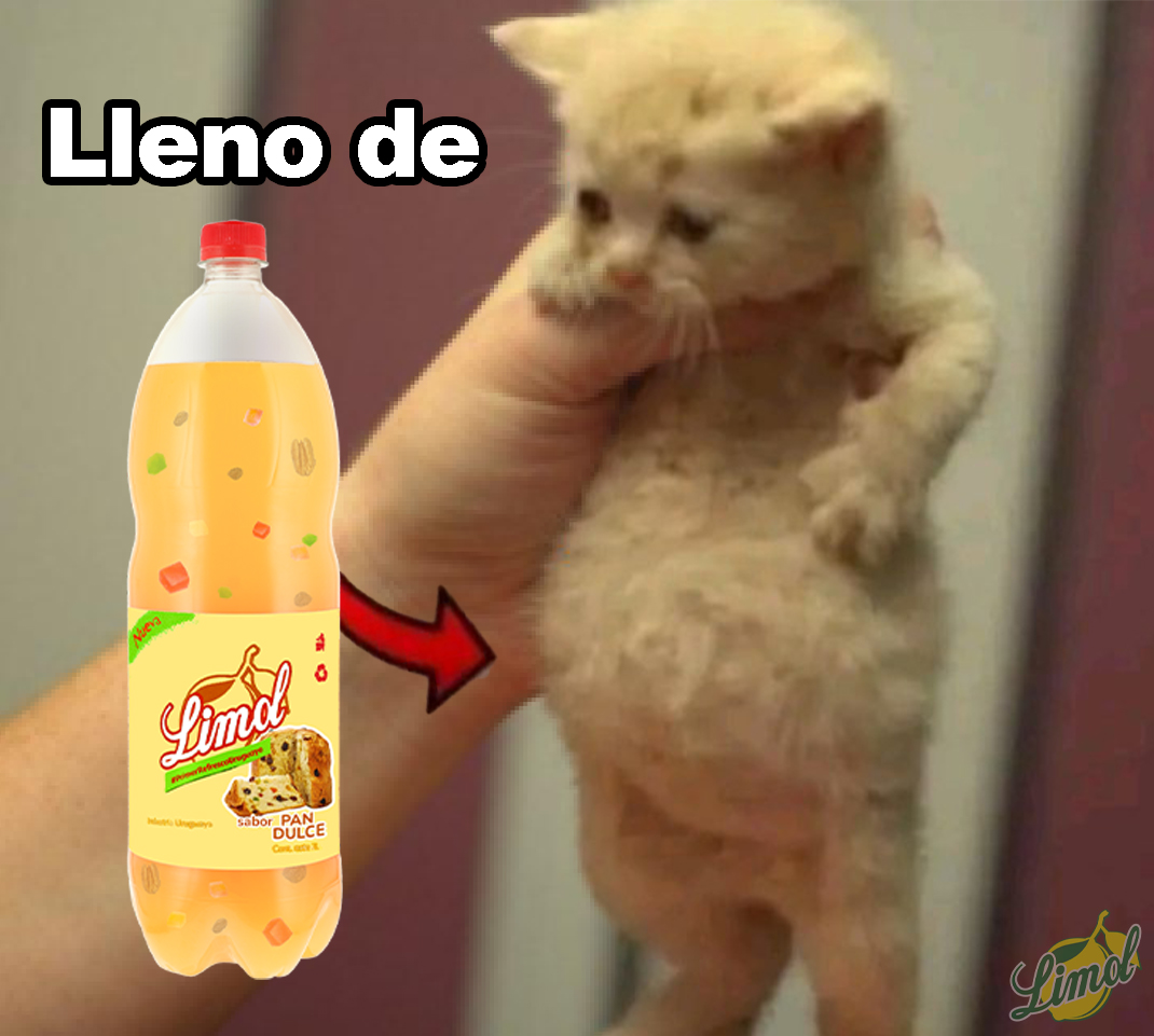 Limol Uruguay (@limol_uy) on Twitter photo 