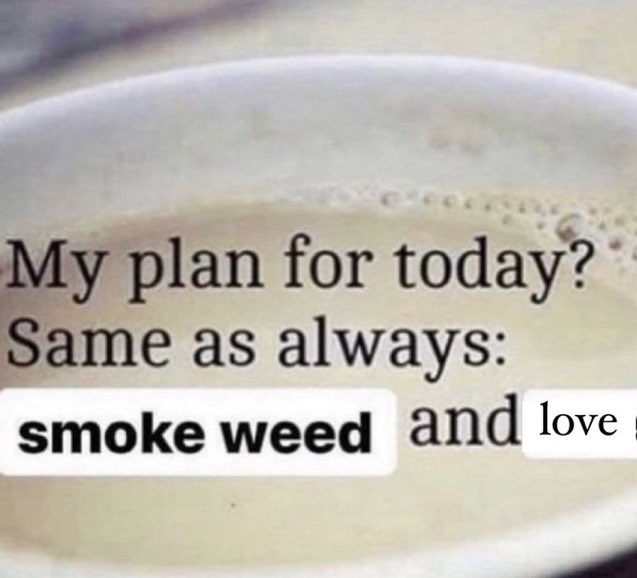 northstardoll's tweet image. 